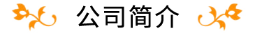 公司简介